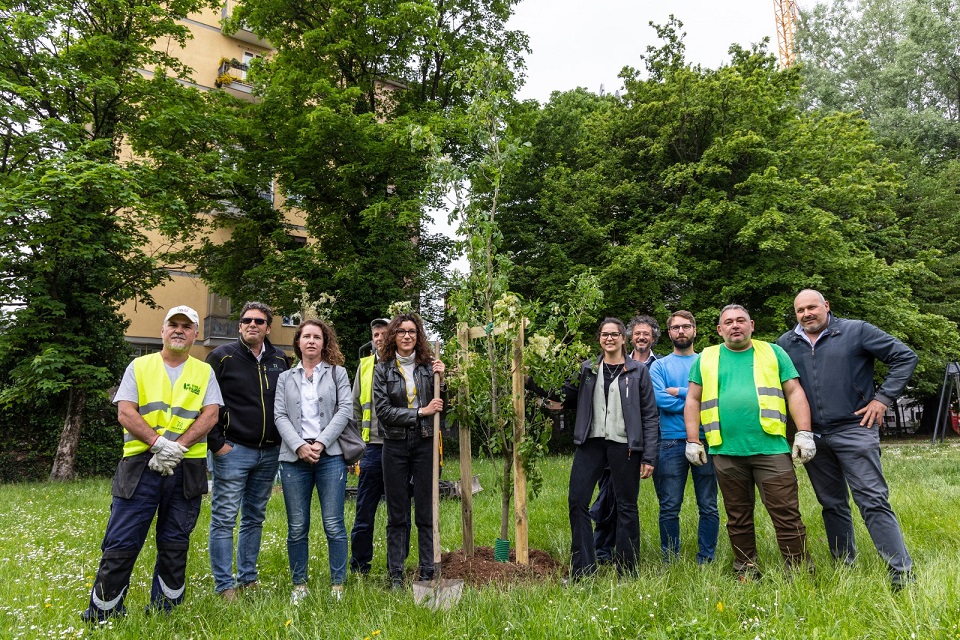 156 giorni per 10.000 alberi: si completa così il progetto di “Messa a dimora di 10.000 alberi per Padova”
